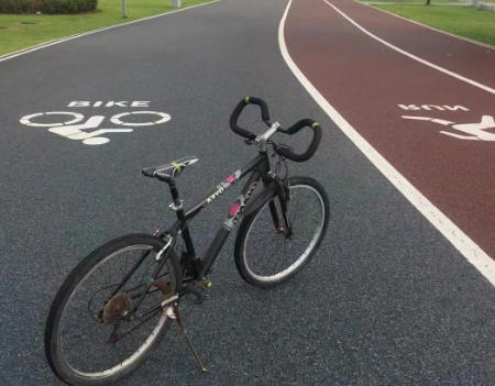 科學(xué)養(yǎng)護常態(tài)化 延長綠道使用壽命